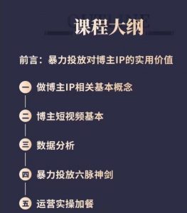 图片[1]-抖+投手宝典：可复制的达人IP投放攻略-大飞资源库