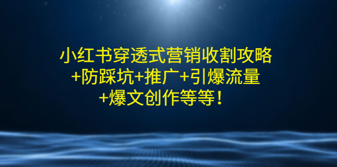 小红书穿透式营销收割攻略+防踩坑+推广+引爆流量+爆文创作等等！-178分享