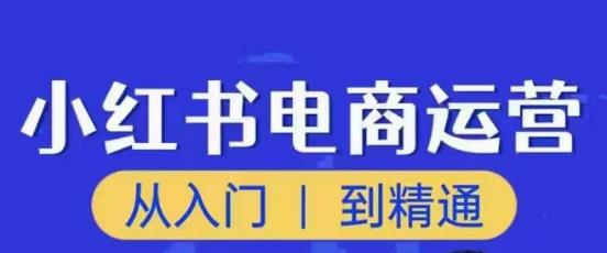 顽石小红书电商高阶运营课程，从入门到精通，玩法流程持续更新-178分享