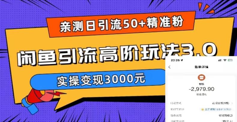 亲测日引50+精准粉，闲鱼引流高阶玩法3.0，实操变现3000元【揭秘】-178分享