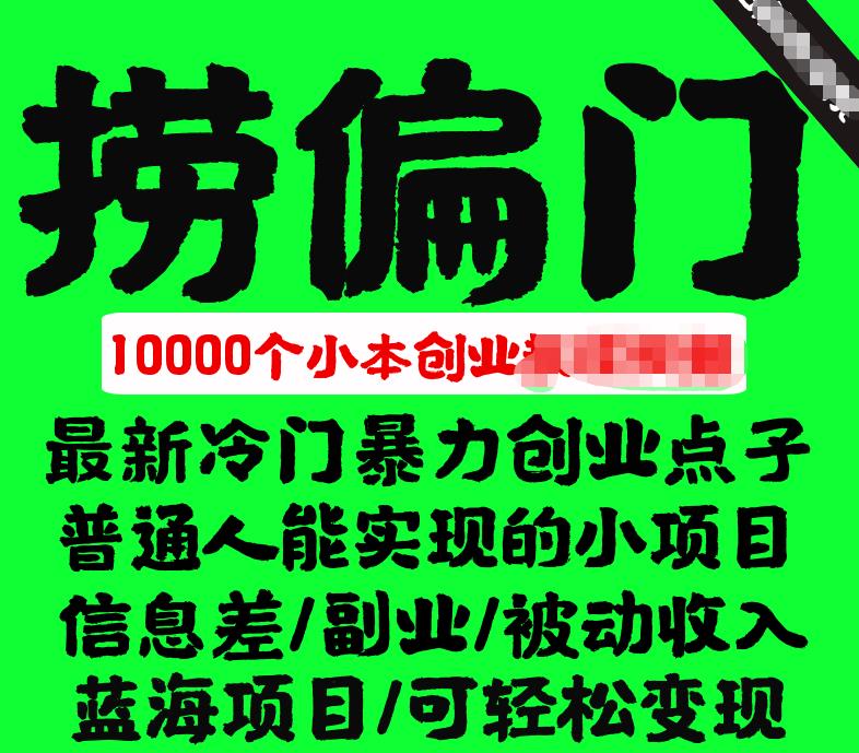 千款捞偏门小本创业小项目，总有一款适合你-旺仔资源库