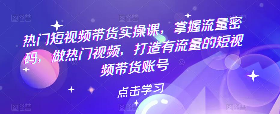 热门短视频带货实操课，掌握流量密码，做热门视频，打造有流量的短视频带货账号-旺仔资源库