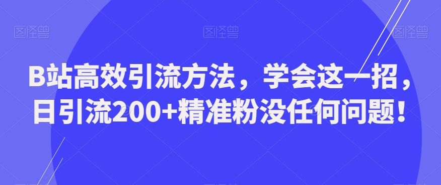 B站高效引流方法，学会这一招，日引流200+精准粉没任何问题【揭秘】-旺仔资源库