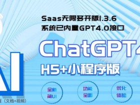 全网首发Saas无限多开版ChatGPT小程序+H5，系统已内置GPT4.0接口，可无限开通坑位-178分享