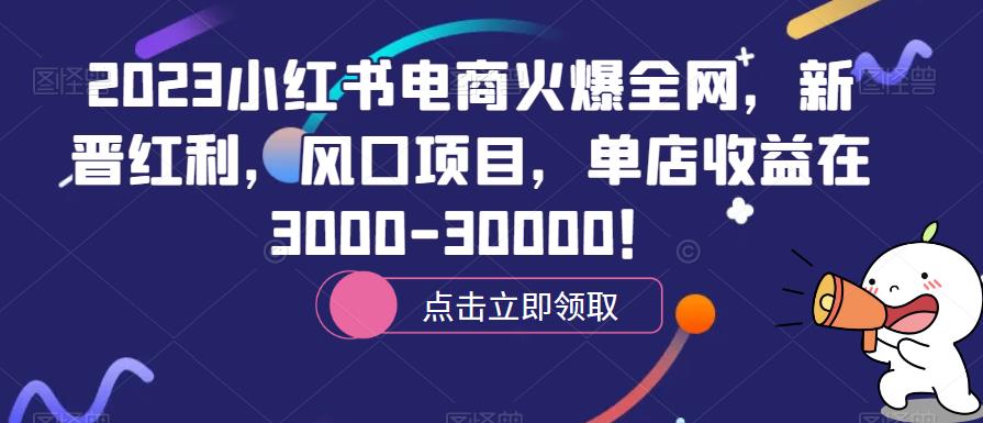 2023小红书电商火爆全网，新晋红利，风口项目，单店收益在3000-30000！-旺仔资源库