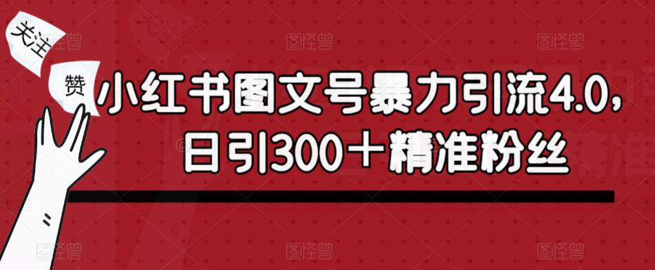 小红书图文号暴力引流4.0，日引300＋精准粉丝【揭秘】-178分享