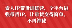 素人IP带货训练营，全平台最强带货IP，让带货变得简单、不再神秘-178分享