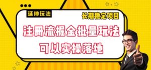 注册流掘金批量玩法，可以实操落地【揭秘】-178分享