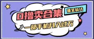 0撸项目月入过万，售卖全套ai工具合集，一单29.9元，一部手机即可【揭秘】-178分享