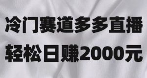 冷门赛道拼多多直播，简单念稿子，日收益2000＋【揭秘】-178分享