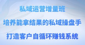 私域运营增量班，培养能拿结果的私域操盘手，打造客户自循环赚钱系统-178分享