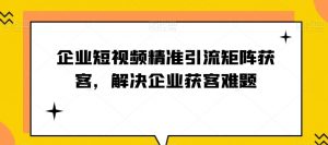 企业短视频精准引流矩阵获客，解决企业获客难题-178分享