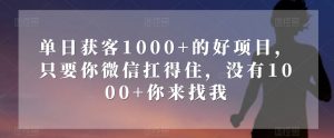 单日获客1000+的好项目，只要你微信扛得住，没有1000+你来找我【揭秘】-178分享