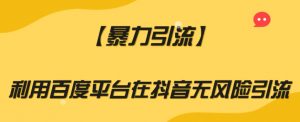 【暴力引流】利用百度平台在抖音无风险引流【揭秘】-178分享