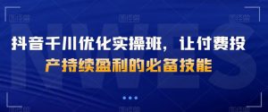 抖音千川优化实操班，让付费投产持续盈利的必备技能-178分享