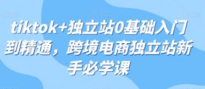 tiktok+独立站0基础入门到精通，跨境电商独立站新手必学课-178分享