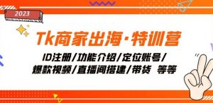 Tk商家出海·特训营：ID注册/功能介绍/定位账号/爆款视频/直播间搭建/带货-178分享