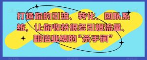 打造你的引流、转化、团队系统，让你收获很多引爆流量、翻倍业绩的“杀手锏”-178分享