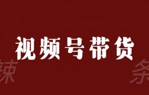 视频号带货联盟，赚信息差的带货钱，只需手机随时随地都可以做！-178分享