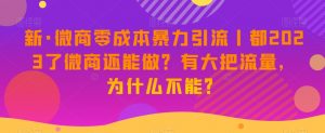 新·微商零成本暴力引流丨都2023了微商还能做？有大把流量，为什么不能？-178分享