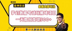 数据号回归玩法游戏试玩搬砖项目再创日入500+【揭秘】-178分享