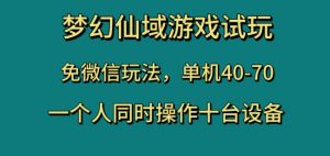 梦幻仙域游戏试玩，免微信玩法，单机40-70，一个人同时操作十台设备【揭秘】-178分享