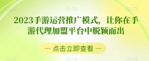 2023手游运营推广模式，让你在手游代理加盟平台中脱颖而出-178分享