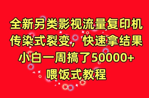 全新另类影视流量复印机，传染式裂变，快速拿结果，小白一周搞了50000+，喂饭式教程【揭秘】-旺仔资源库