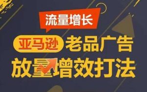 流量增长 亚马逊老品广告放量增效打法,短期内广告销量翻倍-旺仔资源库