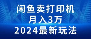 （10091期）2024闲鱼卖打印机，月入3万2024最新玩法-旺仔资源库