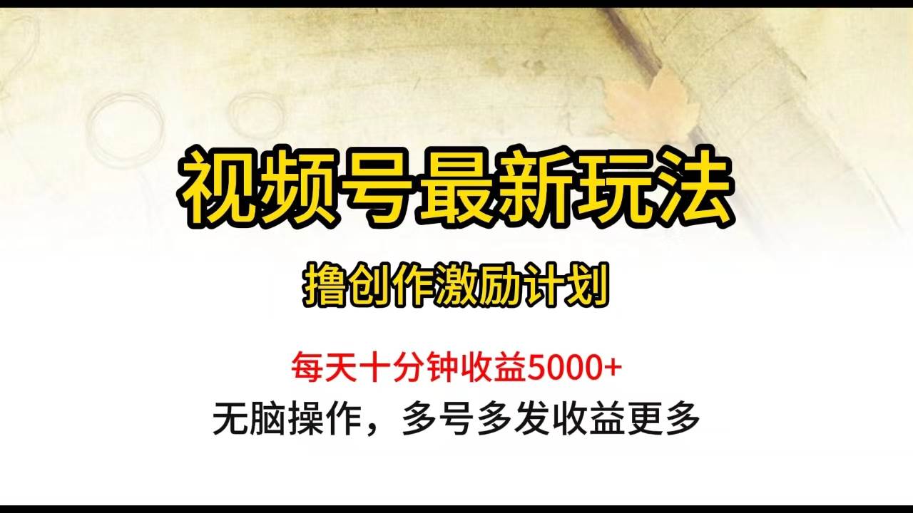 （10087期）视频号最新玩法，每日一小时月入5000+-旺仔资源库