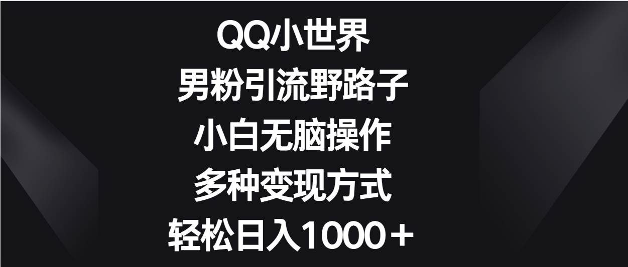 QQ小世界男粉引流野路子，小白无脑操作，多种变现方式轻松日入1000＋-旺仔资源库