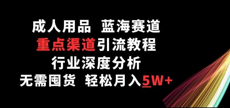 成人用品，蓝海赛道，重点渠道引流教程，行业深度分析，无需囤货，轻松月入5W+【揭秘】-旺仔资源库