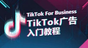 TikTok广告入门教程，从0到1掌握TikTok投放的全流程-旺仔资源库