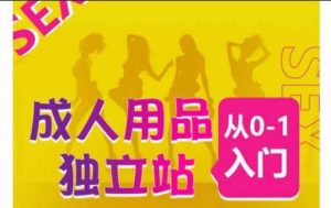 成人用品独立站从0-1入门，成品独立站运营全流程教学，七大好卖成品独立站推荐-旺仔资源库