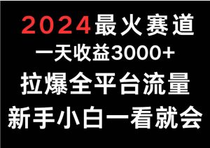 2024最火赛道，一天收一3000+.拉爆全平台流量，新手小白一看就会-旺仔资源库