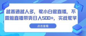 越普通越人多，教小白做直播，不露脸直播带货日入500+，实战教学-旺仔资源库