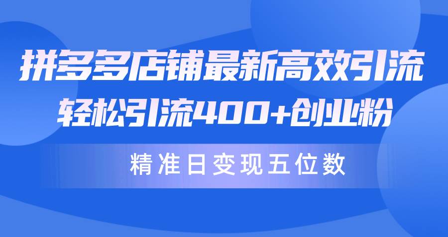 （10041期）拼多多店铺最新高效引流术，轻松引流400+创业粉，精准日变现五位数！-旺仔资源库