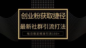 （10040期）创业粉捷径！最新被动引流方法大揭秘，实现每日100+精准引流-旺仔资源库