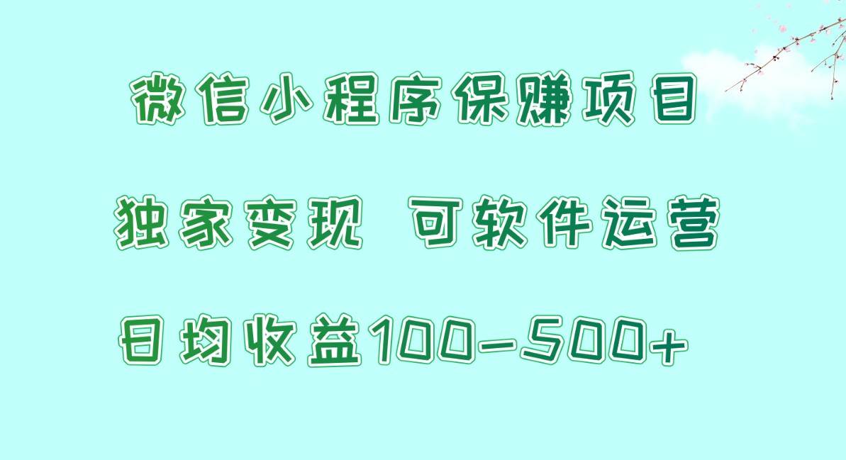 微信小程序保赚项目，日均收益100~500+，独家变现，可软件运营-旺仔资源库