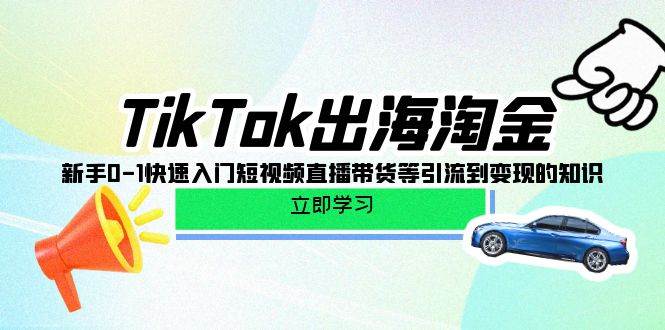 （10035期）TikTok-出海淘金，新手0-1快速入门短视频直播带货等引流到变现的知识-旺仔资源库