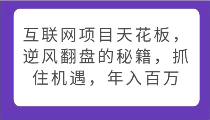 互联网项目天花板，逆风翻盘的秘籍，抓住机遇，年入百万-旺仔资源库