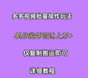 (10029期)拼多多视频带货快速过爆款选品教程 每天轻轻松松赚取三位数佣金 小白必…-旺仔资源库