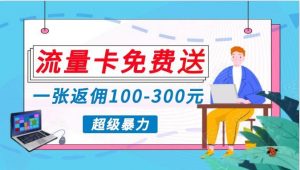 流量卡免费送,一张返佣100-300元,超暴力蓝海项目,轻松月入过万!-旺仔资源库
