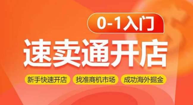 速卖通开店0-1入门，新手快速开店 找准商机市场 成功海外掘金-旺仔资源库