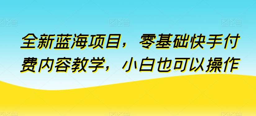 全新蓝海项目，零基础快手付费内容教学，小白也可以操作【揭秘】-旺仔资源库