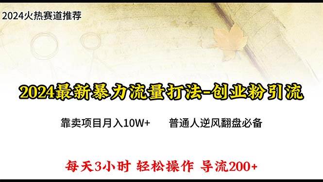 （10151期）2024年最新暴力流量打法，每日导入300+，靠卖项目月入10W+-旺仔资源库