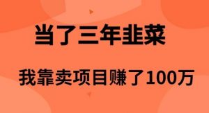 （10149期）当了3年韭菜，我靠卖项目赚了100万-旺仔资源库