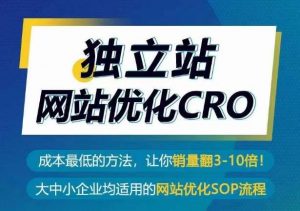 独立站网站优化CRO，成本最低的方法，让你销量翻3-10倍-旺仔资源库