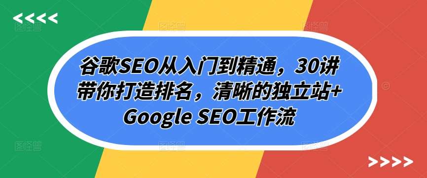 谷歌SEO从入门到精通，30讲带你打造排名，清晰的独立站+Google SEO工作流-旺仔资源库